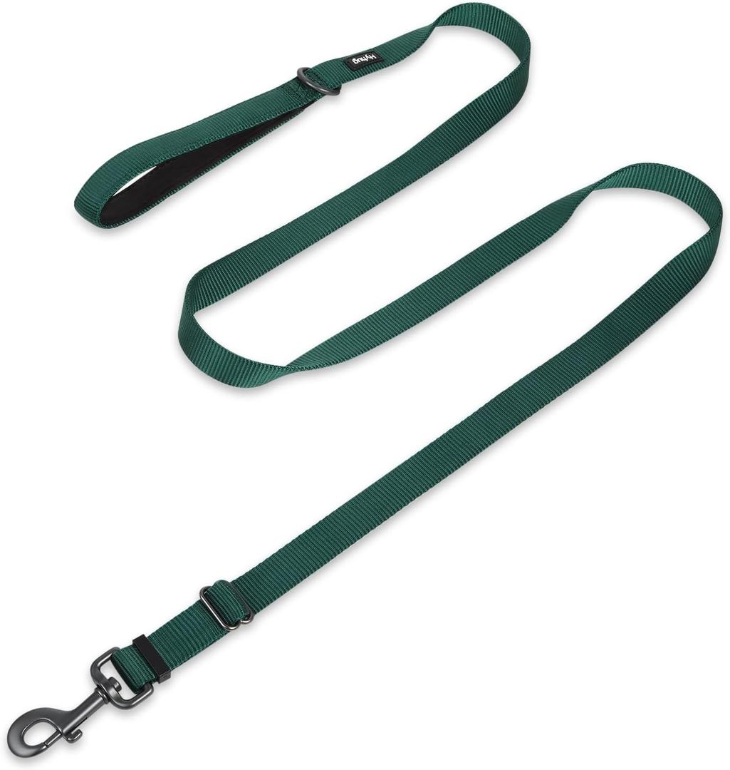 Hyhug Nylon Adjustable 4-6ft Dog Leash with Soft Neoprene Padded Handle, Durable Heavy Duty Leash with Easy-to-Use Bolt Snap, Ideal for Jogging Outdoor (Green)