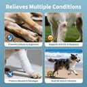 Dog Elbow Brace Protector with Decoupled Chest Strap - Breathable, Abrasion-Resistant - Adjustable Elbow Support for Hygroma, Dysplasia, Arthritis, Calluses & Shoulder Instabilit (Both Legs, XL)