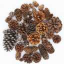 50 PCS Natural Pine Cones Mixed Sizes for Acorn Decor, Vase Filler, Birthday Gifts, Rustic Home Decor