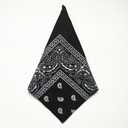 Tergy 16-30 Pieces Unisex Paisley Bandanas Bulk Multi-Purpose Headband Cowboy Head Wrap Scarf for Women Men Boys Girls