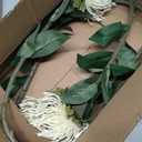 Hollyone 3Pcs White Artificial Flowers Mums Spider Mum Flower Fall 28.3'' Long Stem Fake Chrysanthemum Flowers Leucospermum Cordifolium Arrangement Faux Pincushion Flower for Office Bouquet Home Decor