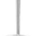 iDesign York Ceramic and Steel Divided Toothbrush Stand - 3.25" x 5", White/Chrome