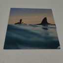 Radical Optimism (Softpack CD)