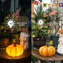 Solar Pumpkin Lights Garden Statues Outdoor Pumpkin Fall Decor Thanksgiving Halloween Decorations for Porch Terrace Yard Lawn Patio,2 Pack Small Pumpkin