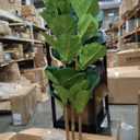 Artificial Fiddle Leaf Fig Tree in Modern White Planter, 5ft
Large Fake Tree with 3 Sturdy Trunks, Fake Plants with Moss, Lifelike Tall Artificial Plants Indoor for Office Home Decor