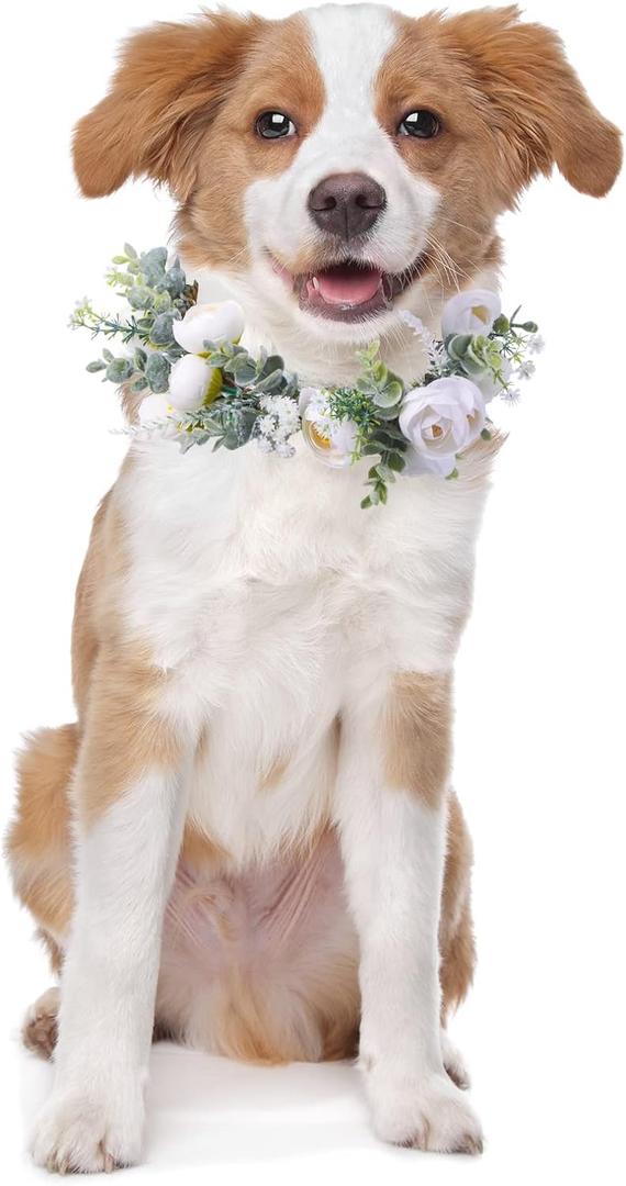 Honoson Dog Wedding Flower Collar Dog Wedding Outfit Floral Collars Attire Flowers Wreath Pet Photo Prop Wedding Accessories for Puppy Cats Female Male(Small)