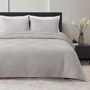 Whale Flotilla Queen Quilt Set, Soft Lightweight Quilts Bedspreads Coverlet with Embossed Pattern, Bedding Sets with 2 Pillow Shams, Reversible Bed Cover for All Seasons, 96x90 Inches, Light Grey