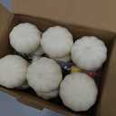 FUTUREPLUSX 12PCS Mini White Pumpkins for Decor, Fake Pumpkins to Paint, Halloween Thanksgiving Decorating Displaying