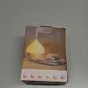 SALKING Essential Oil Diffuser, 100ml Small Aromatherapy Diffuser with Auto ShutOff Function, Ultrasonic Diffusers for Essential Oils, Cool Mist Humidifier with Warm White Lights, for Office Home