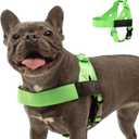 Dog Friendly Co. Dog Harness | Chafe Resistant Webbing, Adjustable Neck & Chest, and Heavy Duty D-Ring | Sturdy, Comfortable, Easy to Use | Neon Green, Size L