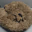 Heated Cat Beds for Indoor Cats123456