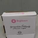 Brightown 10x Magnifying Mirror with Light, Flexible Gooseneck Make up Mirror with Lights and Magnification, Battery Operated Cordless with Suction Cups for Wall Bathroom Silver 1 Lighting