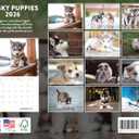 Siberian Husky Puppy Calendar 2026 Monthly Wall Calender 12 Month | American Made In The USA