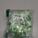 Junkin 60 Pieces Baby Shower Pacifiers Necklace Acrylic Pacifiers Necklace Charm for Baby Shower Party Favors Decorations, Women Style(Green)