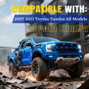 ARANA Tailgate Assist Shock for Toyota Tundra 2007-2021, Tail Gate Safe-Controlled Lowering Accessories Damper Strut Kit for Toyota 07-21 Tundra 2WD/4WD(Not to Install in Tailgate Light)