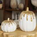 WDS WONDROUS Fall Pumpkin Decor Set of 2, White and Gold Pumpkins for Decorating, Resin Fake Pumpkin Figurines, Harvest Thanksgiving Mantel Table Centerpiece Autumn Home Decoration Gift