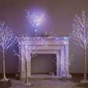 LITBLOOM Lighted Birch Garland Battery Operated with 8 Functions 48 Multi-Color and Warm White Lights, Pre-lit Twig Vine Lights 6FT for Home Bedroom Wall Mantle Decoration