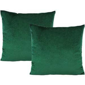 Pillow Case Green 2 Pack 20 Inch