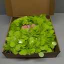 Syhood Whimsical Christmas Tree 5ft Bendable Pop up Collapsible 1 Minute Christmas Tree with 36 Wooden Ornaments for Indoor Outdoor Home Office Holiday Xmas Party Decor Supply