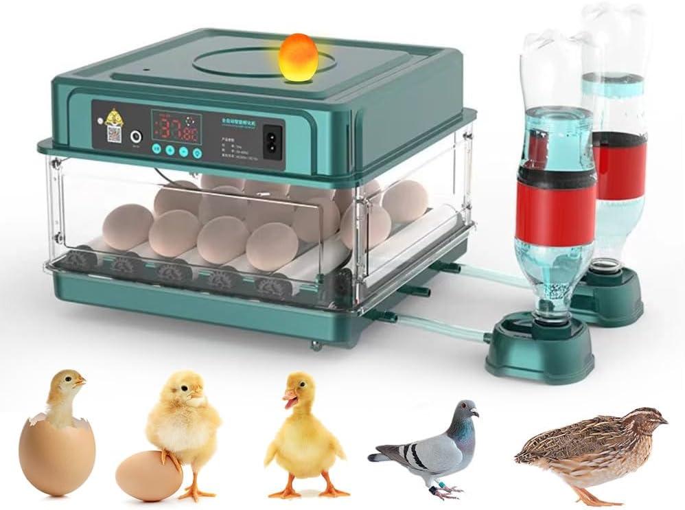 Automatic Egg Incubator 12-38 Egg Digital Poultry Hatcher Machine ith Automatic Egg Turning, Temperature & Humidity Control, Efficient LED Lighting for Chicken Geese Ducks Pigeons Quails (12 Eggs)