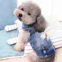 Pawstrip Dog Denim Jacket with Embroidered Daisy, Ripped Vintage Jean Vest for Small Dogs, Pugs, Chihuahuas, Spring Summer Fall Festival Outfit, Large (Fits Chest 15-16")