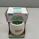 Wellness Grow Kit: Lemon Balm