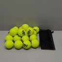 INSUM Squeaky Dog Balls - Squeaky Tennis Balls for Dogs, Yellow | Medium - 2.5'', 20Pack