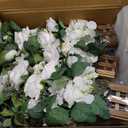 Ling's moment 17.5" Tall Standing Artificial Flowers Arrangements 4 pcs Wedding Aisle Runner Chair Decorations White Sage Centerpieces for Ceremony Reception Rose Floral Party Outdoor Decor