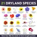 Drought Tolerant Wildflowers Mix  Extra Large Packet  Over 7,500 Open Pollinated Non-GMO Seeds  21 Different Dryland Species (1 Ounce Pouch)