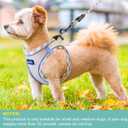 haapaw Dog Harness with Leash Set, No Pull Adjustable Reflective Step-in Puppy Harness with Thickened Padded Vest for Medium Dogs