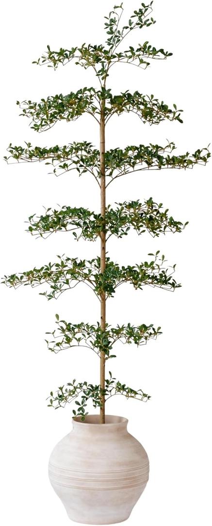 Black Olive Tree Artificial 7 Feet Tall, Artificial Shady Lady Tree, Faux Decorative Tree
