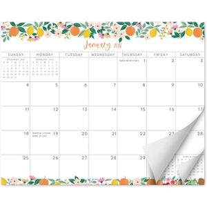 3 x S&O Fruity Magnetic Fridge Calendar from January 2026-June 2027 - Tear-Off Refrigerator Calendar to Track Events & Appointments - 18 Month Magnetic Planner for Fridge for Easy Planning - 8"x10" in.