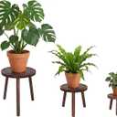 3-Pack Wood Plant Stands Indoor, Single Plant Stand for 6-12 Inch Pots, Mid-Century Modern Plant Stool, Tall Plant Stand for Large Plants for Living Room, Balcony, Office (Dark Brown)