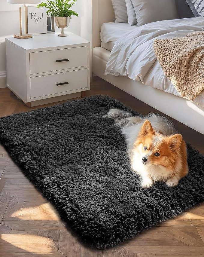 Ophanie 2x3 Black Rugs for College Dorm, Bedroom Small Area Rug, Non-Slip Fluffy Shaggy Bedside Soft Shag Fuzzy Plush Carpet for Kids Boys Teen Home Decor Aesthetic, Nursery