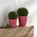 Mud Pie Boxwood Tartan Pot, Large, 5" x 5" Dia