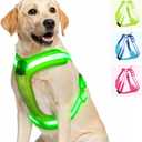 Light Up Dog Harness - LED Dog Harness Rechargeable, No Choke Illuminated Glow Dark Harness Vest Waterproof for Medium Large Dogs for Camping Night Safety Walking-Green,M