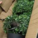 2 Pieces Artificial Plants Spiral Topiary Trees,3ft Fake Tree Faux Plant with Pot Base,Porch、Garden and Indoor Decor
