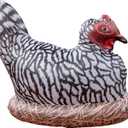 Inflatable Chicken, Decorations for Birthday Party Supplies Toy, Wild West Farm Theme Gifts, Blow Up Hen Decor, Inflables Para Fiestas, Halloween Rooster, Big Stuff Fun Decoy, Giant Size