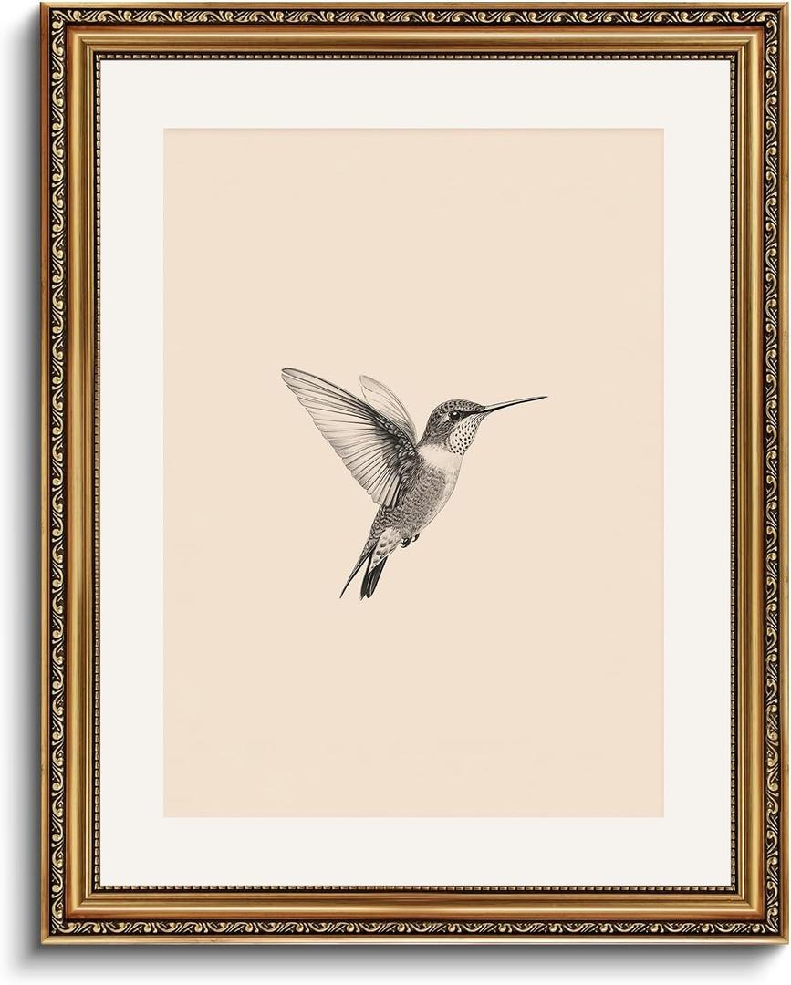 VIYYIEA Gold Framed Hummingbird Wall Art, Minimalist Canvas Wall Decor, Vintage Nature Sketch Illustration for Living Room Bedroom, Great Gift for Bird Lover, 16x20 Inch