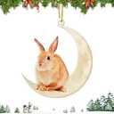 Christmas Tree Decorations, Acrylic Christmas Tree Ornaments, Double-Printed Animal Hanging for Christmas Tree, Home Decor, Children's Gifts (Rabbit)