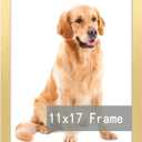 RUN HELIX 11x17 Picture Frame for 11by17 Poster Photo Canvas Certificate Black High Transparent Poster Frame Wall Desktop Horizontal Vertical 11 x 17,Gold