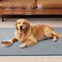 Eterish Reusable Washable Pee Pads for Dogs Extra Large 54'' x 54'' 2 Pack, Absorbent Pet Puppy Dog Training Pads Non-Slip, Waterproof Whelping Potty Pads for Dogs Leak-Proof