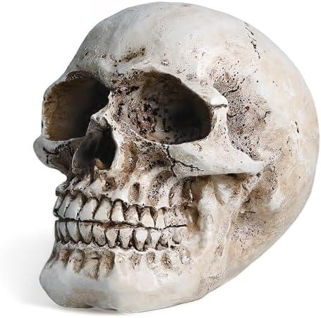 Skull Decor, Resin Realistic Skeleton Head Statue for Halloween, Fake Human Bone Skull Model for Halloween Decoration, Home, Party, Table, Bookshelf