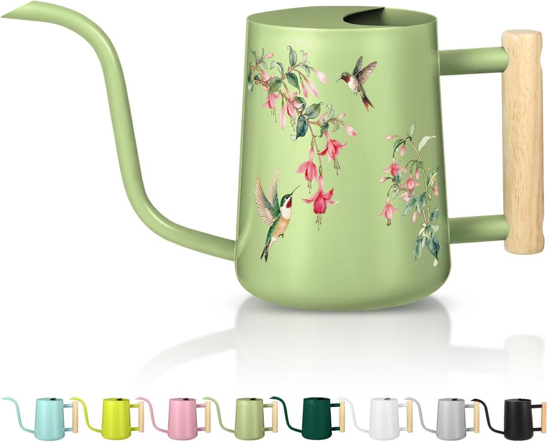 Watering Can Indoor Plants, 35oz Small Stainless Steel Metal Watering Can Modern Decorative Watering Pot with Long Spout for Indoor House Plant Bonsai Garden Flowers (Saga Green 1)
