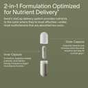 Seed DM-02 Daily Multivitamin - for Adults - 30-Day Supply with Jar | 100% DV Nutrition - 20 Essential Vitamins & Minerals - Immune, Bone, Hair, Skin & Nail Health - Vegan Capsules