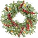 Christmas Wreath with Lights Timer - 20 Inch Christmas Wreaths with Cedar Branch Tips Eucalyptus Red Berries, Artificial Cedar Wreath for Front Door, Wall, Windows, Home, Indoor, Outdoor Use