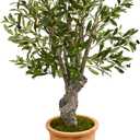 Nearly Natural 3ft. Olive Artificial Tree in Terracotta Planter