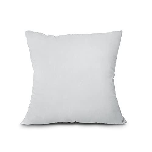 EDOW Throw Pillow Insert, Lightweight Soft Polyester Down Alternative Decorative Pillow, Sham Stuffer, Machine Washable. (Grey, 16x16)