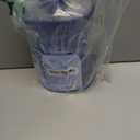 Dial Antibacterial Defense Foaming Hand Soap + Aloe, Spring Water Scent, 52 Fl Oz Hand Soap Refill, Dermatologist-Tested, Gentle on Skin