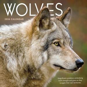 TF Publishing 2026 Wolves Wall Calendar - Large Grids for Appointments and Scheduling - Vertical Monthly Wall Calendar 2026 with Premium Gloss Paper for Home and Office Organization - 12in x 12in